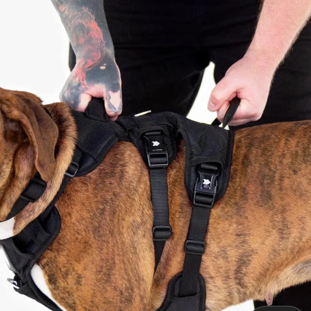 Fenrir Ragnar Dog Harness - Picture 5 of 7